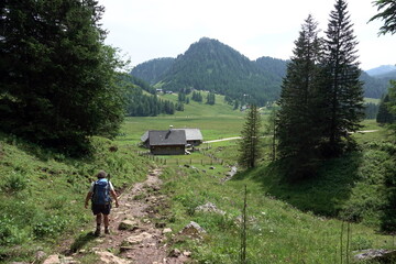 Wanderer an der Wurzerallm