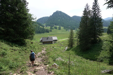 Wanderer an der Wurzerallm