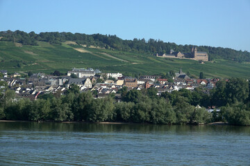 Rhein mit Ruedesheim