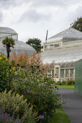 Beautiful greenhouse in National Botanic Gardens, Dublin, Ireland.  Large area with naturalist sections, formal gardens, an arboretum and a greenhouse with Victorian palms.