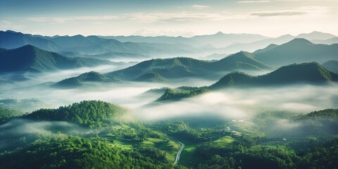 Beautiful green mountain landscape with morning sunrise sky and fog. Aerial view of green trees in...