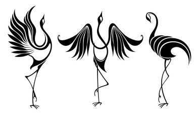 Black and white crane. Bird design. Vector illustration