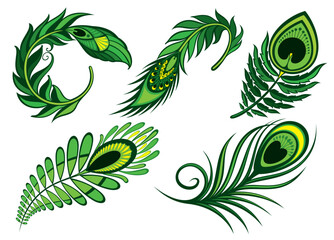 Green Set of peackok featherrs. Bird feathers design. Vector illustration.
