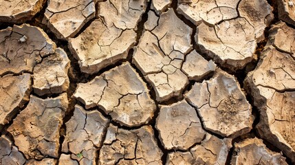 Cracked dry earth, parched and arid