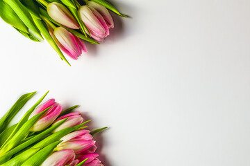 Bouquet of tulip flowers on white background, panorama, flat lay,copy space