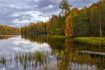 Fototapeta na wymiar Forest landscape and lake in the northern regions of Russia in late autumn.