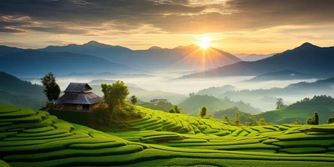 Stof per meter Landscape of rice terrace and hut with mountain range background and beautiful sunrise sky. Nature landscape. Green rice farm. Terraced rice fields. Travel destinations in Chiang Mai, Thailand. © Svitlana