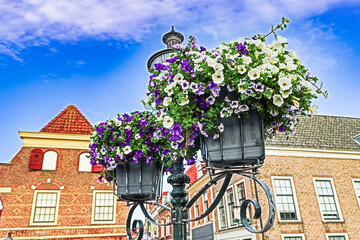 Flower pots hang on a lamppost against the background of houses