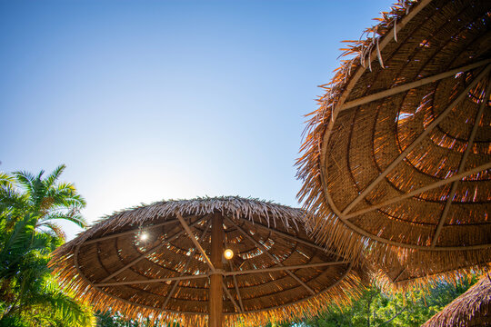 Palapas in the sunshine