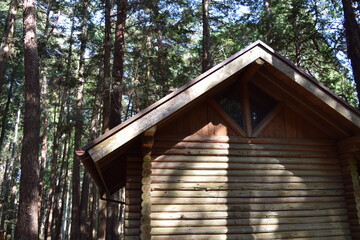 森林内に建つログハウス