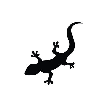 lizard line logo black vector image