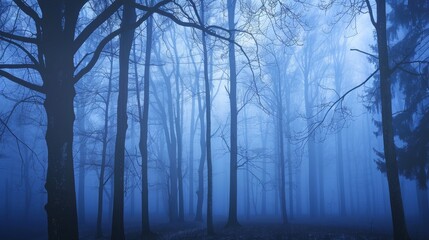 Misty forest at dawn, ethereal and tranquil
