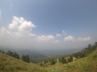 Panoramic View from Hilltop with Lush Forest and Dramatic Sky