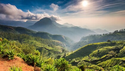 scenic landscape of the munnar mountain view of southern western ghats of india in kerala - obrazy, fototapety, plakaty