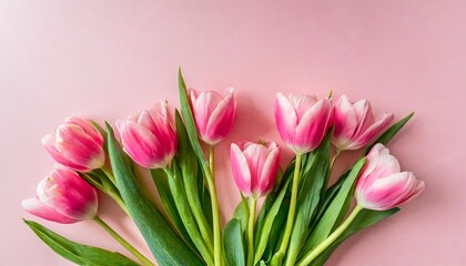 beautiful composition spring flowers bouquet of pink tulips flowers on pastel pink background valentine s day easter birthday happy women s day mother s day flat lay top view copy space