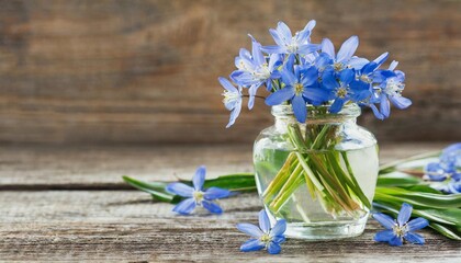 spring flowers scilla in a glass bottle on a wooden background - obrazy, fototapety, plakaty