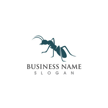 Ant logo and symbol vector image