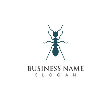 Ant logo and symbol vector image