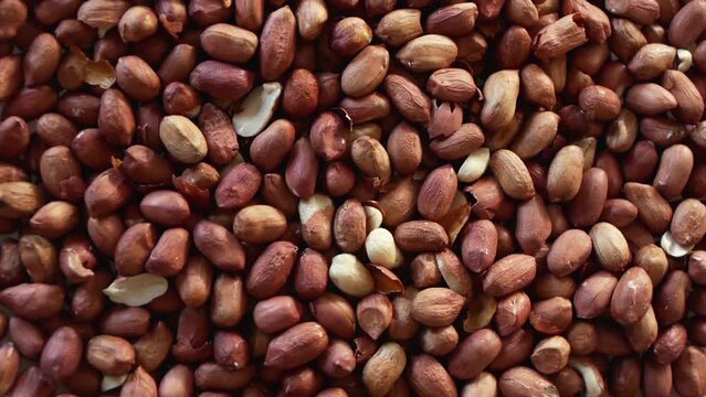 Many peanuts on the plate, which is spinning.