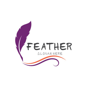 Feather pen logo and symbol vector image