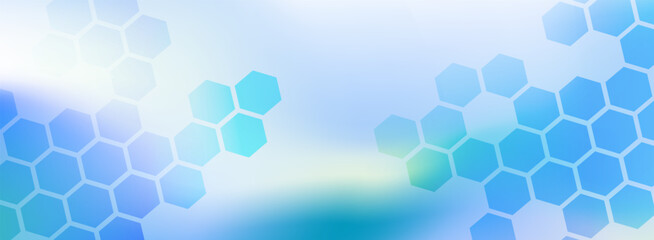 Business abstract banner background with hexagon combs