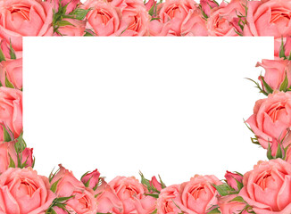 Delicate blossoming pink rose frame, blooming flowers pastel festive background, soft bouquet floral card with copy space for design, text. Top view of pink roses and rose buds.