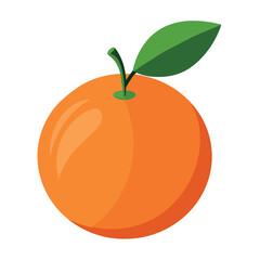 Orange Vector Illustration