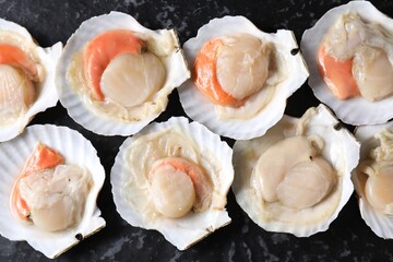 Fresh raw scallops with shells on black textured table, flat lay