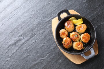 Delicious fried scallops on dark gray textured table, top view. Space for text