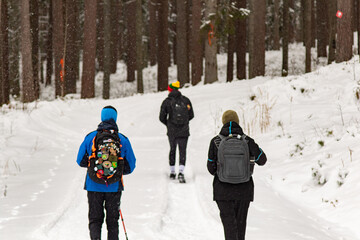 three people walking on path in winter forest
