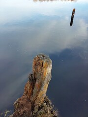 Jezioro  © tomo81