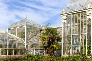Fototapeta na wymiar Beautiful greenhouse in National Botanic Gardens, Dublin, Ireland. Large area with naturalist sections, formal gardens, an arboretum and a greenhouse with Victorian palms.