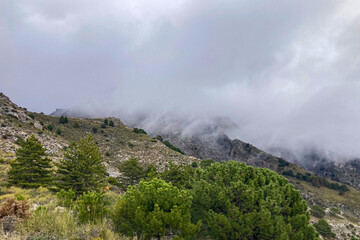 Fog and clouds on hiking trail to Maroma peak in thunderstorm day, Sierra Tejeda, Spain 
