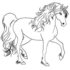 Vector lineart of majestic arabian horse, allowed to use as game illustration