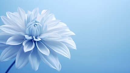 Obraz premium abstract backdrop blue background