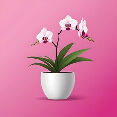 Naklejka na ściany i meble Potted orchid flower on a soft magenta background