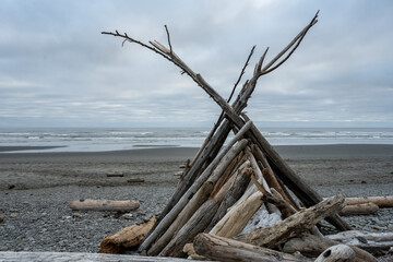 Driftwood Structure Along the Coast of Kaloloch Beach