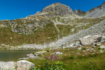 Lacs de Montartier en été en Savoie , vue sur le Rocher du Pays ,Massif de la Lauzière, Alpes , France