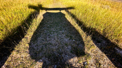 Shadow of Forest service sign in the fall light