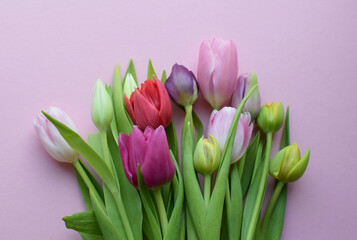 Bouquet of colorful spring tulips for Mother's Day or Women's Day on a pink background. Top view in flat style.