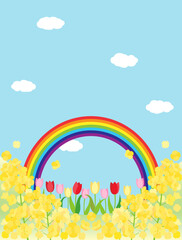 Fototapeta na wymiar 菜の花とチューリップと青空と虹の春の丘のカード　縦型バージョン　