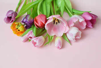Bouquet of colorful spring tulips and place for text for Mother's Day or Women's Day on a pink background. Top view in flat style.