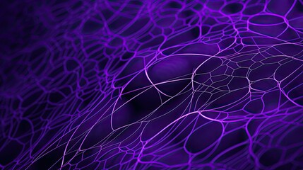 texture web violet background
