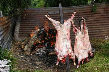 Patagonian lamb roasted over embers, called al palo. Typical Patagonian cuisine