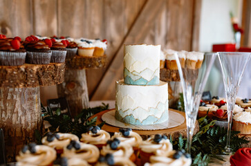 Delicious cake and other deserts on desert table