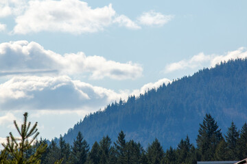 mountains in the morning