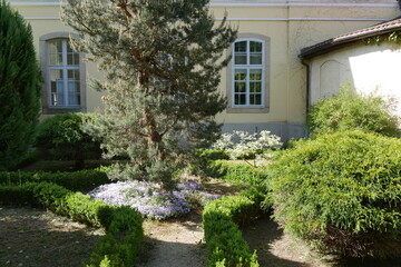 Fototapeta na wymiar Heckengarten im Schlossgarten Schloss Königshain in Sachsen