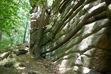 Granitfelsen in den Königshainer Bergen