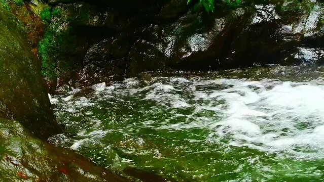 Clear river water flow in nature