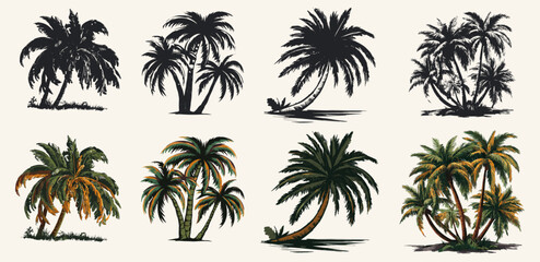 set of palm trees illustration and silhouette, Generative Ai - obrazy, fototapety, plakaty